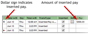 Screenshot of the Insert Pay function.