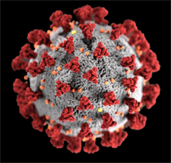 An illustration of the Coronavirus' structure by the U.S. Centers for Disease Control and Prevention.